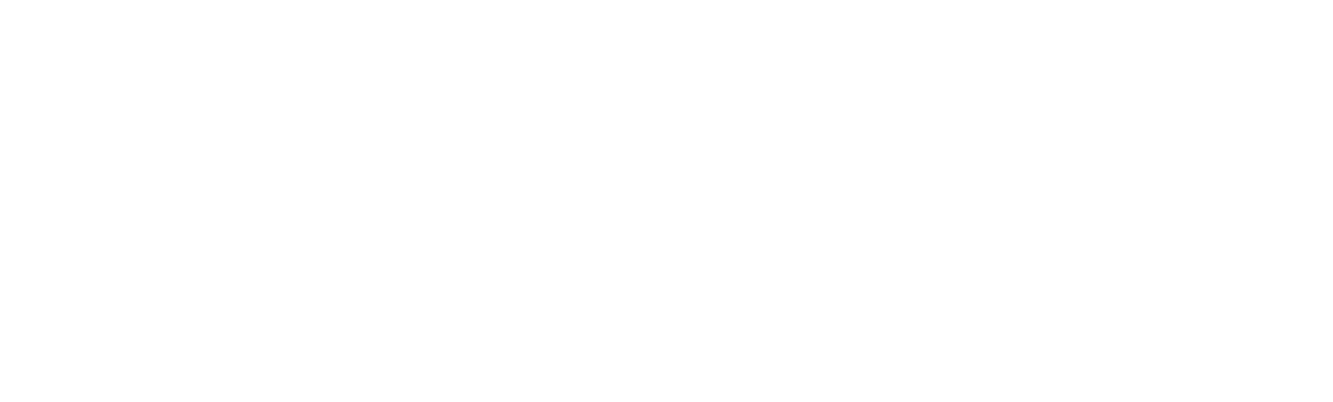angelusquality.com